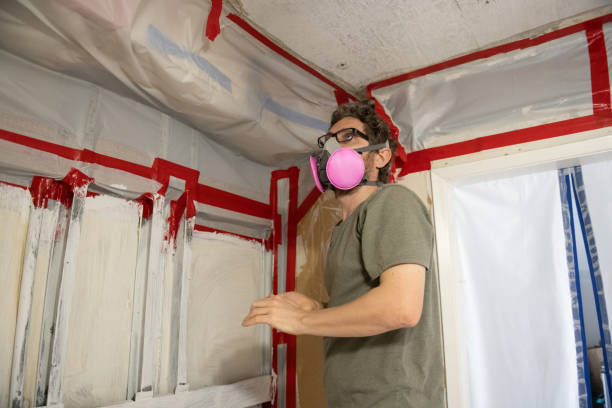 Best Asbestos and Lead Testing During Mold Inspection  in Bradford, OH